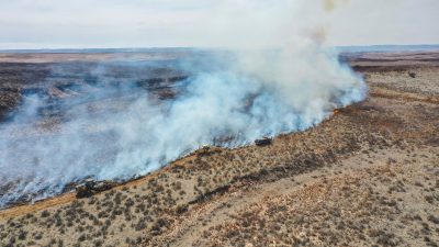Texas: Größter Waldbrand in der Geschichte weitet sich aus – mindestens zwei Tote