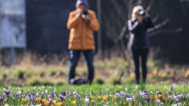 Der Frühling hält Einzug in Deutschland.