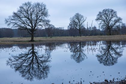 Nach feuchtem Winter: Landwirte hoffen auf trockenes Frühlingswetter