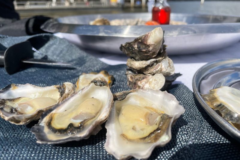 Bereit zum Verzehr - frische Sydney Rock Oysters.