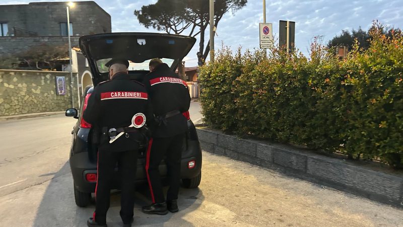 Stolze 103 Jahre alt ist eine Verkehrssünderin, die die italienische Polizei aus dem Verkehr gezogen hat.