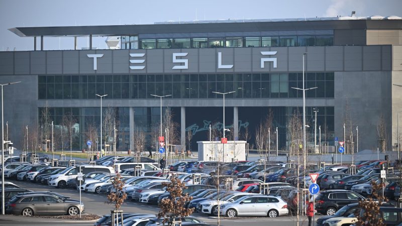 Grünheide schlägt Tesla-Ausbau auf kleinerer Fläche vor