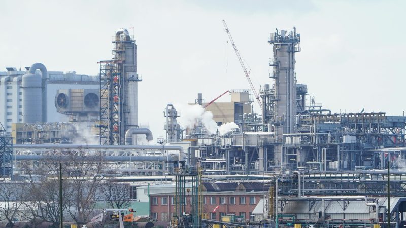 Industrieanlagen stehen auf dem Werksgelände des Chemiekonzerns BASF: Der Umsatz der Branche dürfte 2024 fallen.