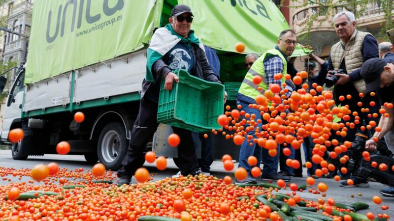 Im spanischen Granada protestieren hunderte von spanischen Landwirten für eine stärkere Förderung ihrer Betriebe, deren Überleben sie als gefährdet ansehen.