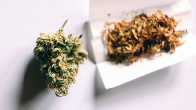 Fachverband fordert mehr Cannabis-Aufklärung für junge Leute