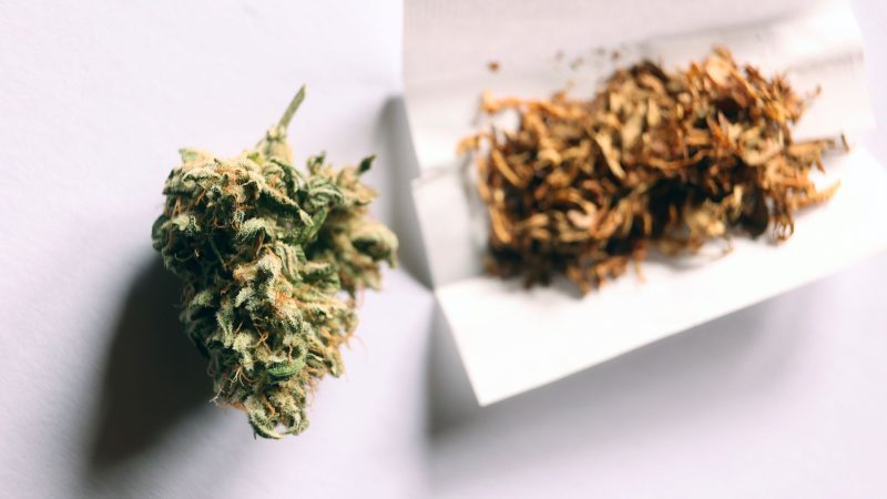 Das neue Gesetz erlaubt Volljährigen in Deutschland ab dem 1. April den Konsum von Cannabis.