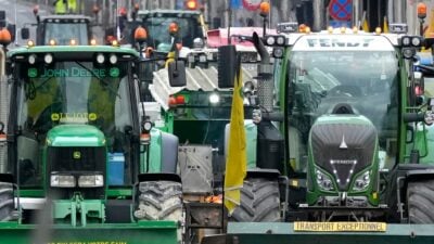 Rukwied schließt neue Bauernproteste nicht aus – Umweltverbände fürchten um „Green Deal“