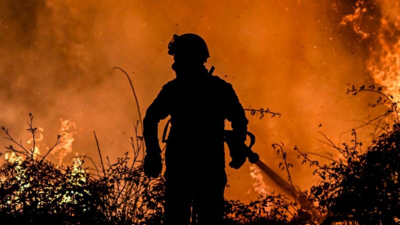 Wochenrückblick (Teil 2): Was hat Europas Klopapier mit Waldbränden in Portugal zu tun?