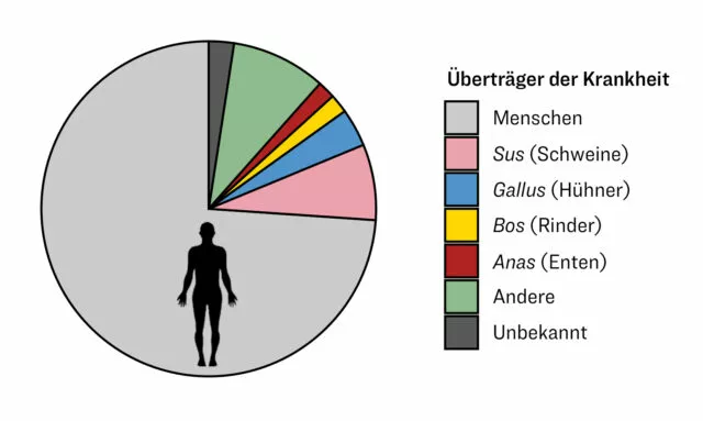Der Mensch überträgt deutlich mehr Viren an Tiere als umgekehrt