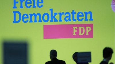 FDP gründet eigene Wirtschaftsvereinigung