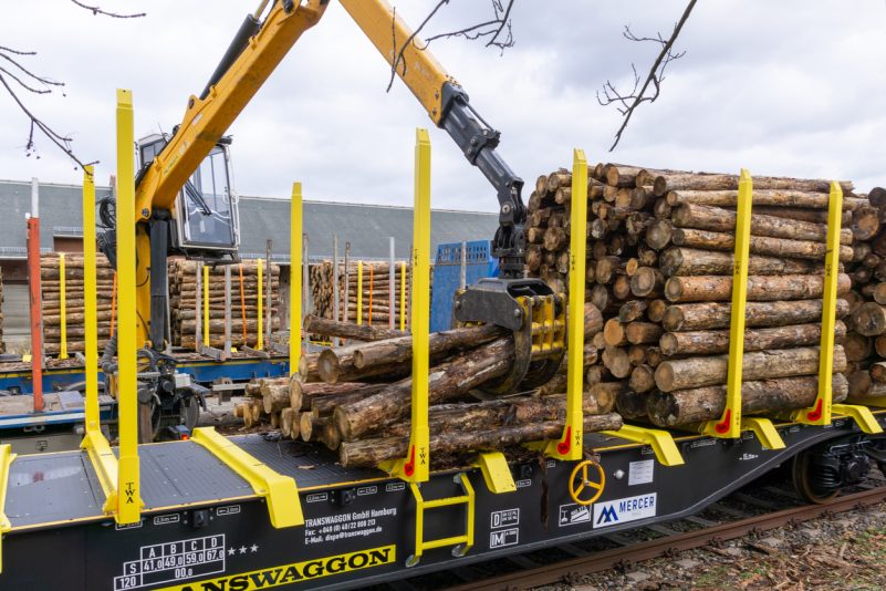 Weniger Schadholz aufgrund von Waldschäden