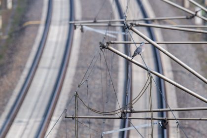 Elektrifizierung von Bahnstrecken kommt nicht voran