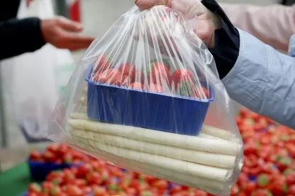 Rukwied hält 15 Euro Mindestlohn nicht für machbar