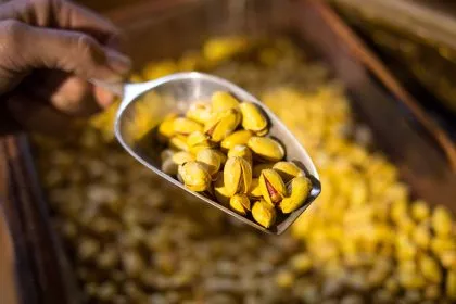 Chemische Produkte, Maschinen und Pistazien: Trotz Sanktionen Handel mit Iran gestiegen