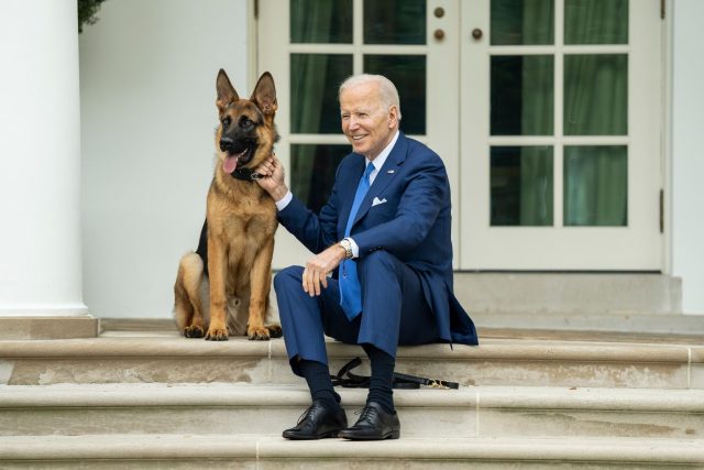 US-Präsident Joe Biden mit seinem Hund auf den Stufen vor dem Weißen Haus.