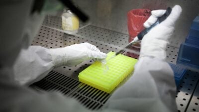 China: Forscher mit Verbindungen zur Armee entwickelt Ebola-ähnliches Virus