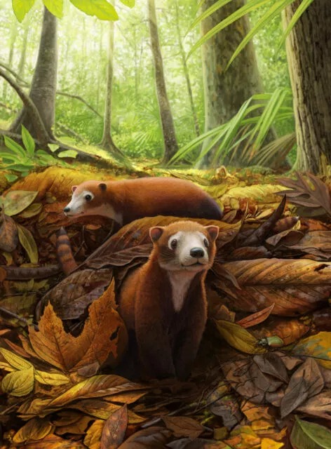 Militocodon lydae