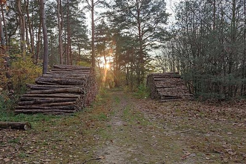Titelbild