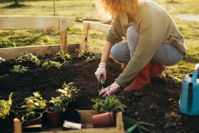 Gartenarbeit ist gesund