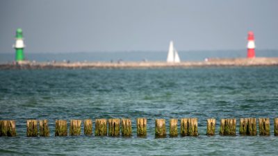 Studie verweist auf Thallium-Belastung der Ostsee