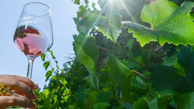 Rosé-Wein wird gerne getrunken.