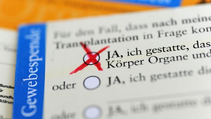 Die Rückseite eines ausgefüllten Organspendeausweises. Das Zustimmungsfeld ist angekreuzt.