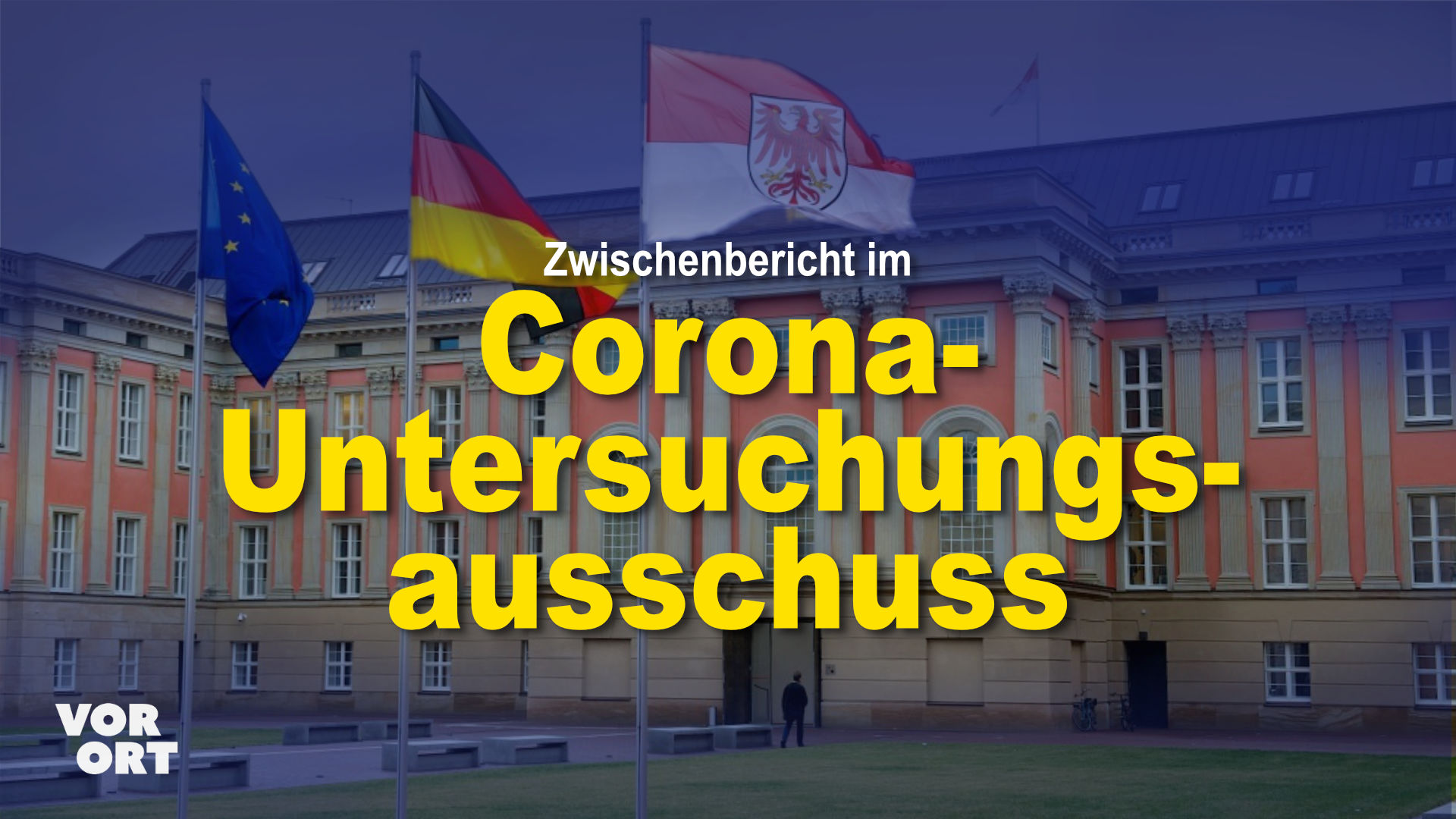 Zwischenbericht im Corona-Untersuchungsausschuss – Lars Hünich: „Politische Pandemie untersucht“