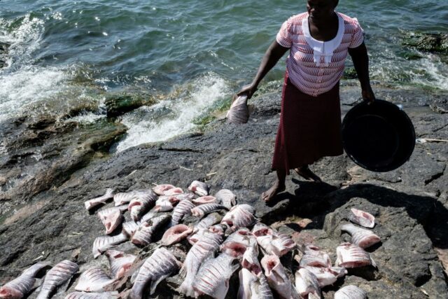 Eine Frau mit frischem Fisch auf Migingo