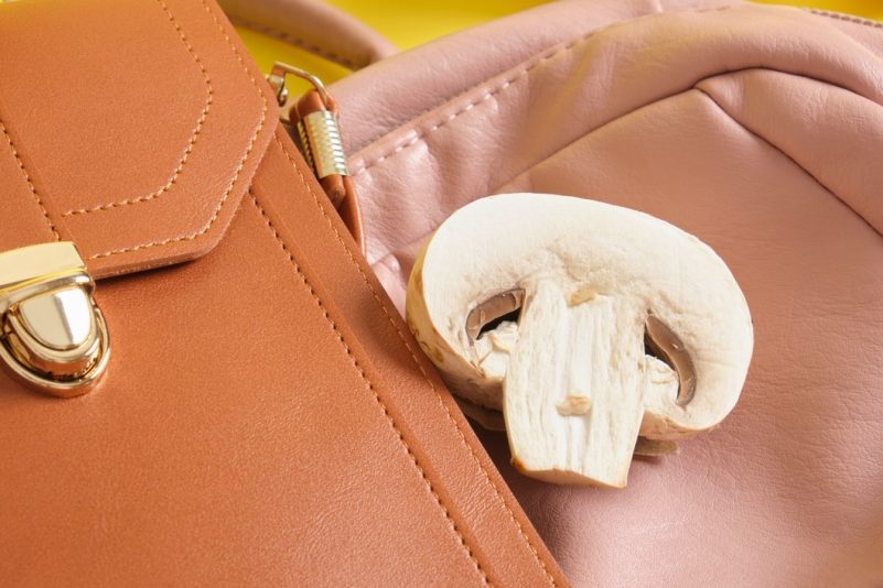 Vom Pilz zur Mode: Forscher entwickeln neues Öko-Leder