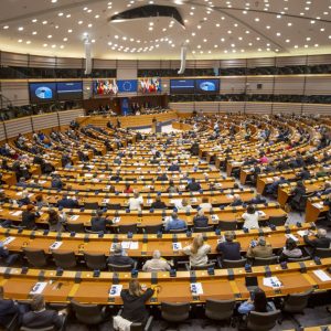 Vom Gerichtssaal ins EU-Parlament – Antifa-Aktivistin erhält Immunität
