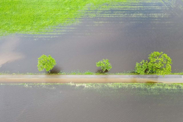 Ganze Wiesen und Felder sind nach den anhaltenden Regenfällen überschwemmt. Das hat auch Folgen für die Landwirtschaft.