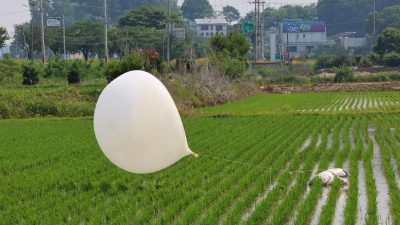 Einer der Hunderten mit Müll gefüllten Ballons, die Nordkorea über Nacht fliegen ließ, ist in einem Grenzbezirk in Südkorea auf einem Reisfeld gelandet.