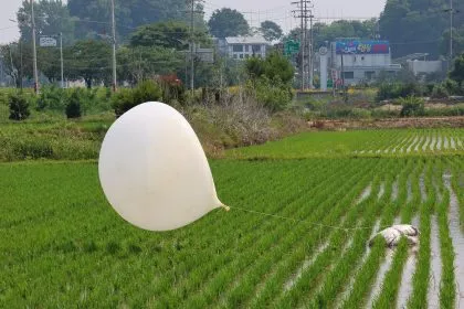 Seoul: Parasiten in Müllballons aus Nordkorea gefunden