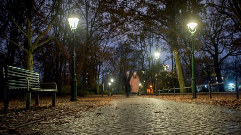 Laternen am Rande des Großen Tiergartens in Berlin.