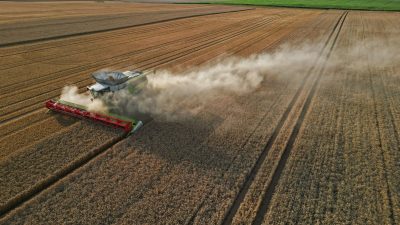 Bauern setzen noch auf sonnige Tage für die Ernte