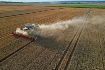 Bauern setzen noch auf sonnige Tage für die Ernte