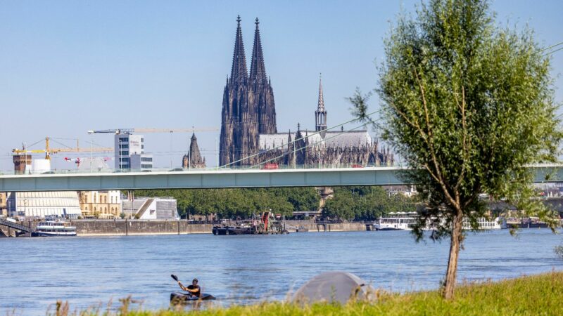 Ein Kajakfahrer rudert auf dem Rhein, im Hintergrund ist der Kölner Dom und die Severinbrücke zu sehen.