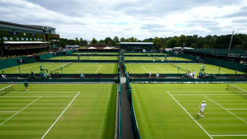 Der Rasenklassiker in Wimbledon beginnt am 1. Juli.