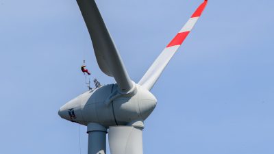 Windräder verdrängen Fledermausarten von Gewässern