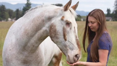 Blindes Pferd stellt drei Weltrekorde auf – dank der unermüdlichen Liebe seiner Besitzerin
