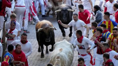 San-Fermín-Fest: Stiertreiben in Pamplona mit ersten Verletzten