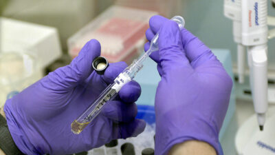 Vogelgrippe-Ausbruch: Warum keine Panik angebracht ist