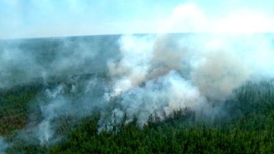 Verheerende Waldbränden machen den russischen Behörden vor allem in Sibirien jedes Jahr zu schaffen. (Archivbild)