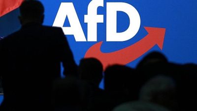 AfD beschließt Gründung neuer Fraktion im EU-Parlament