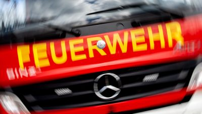 Zwölf Feuerwehrleute und Anwohnerin bei Chemieunfall verletzt