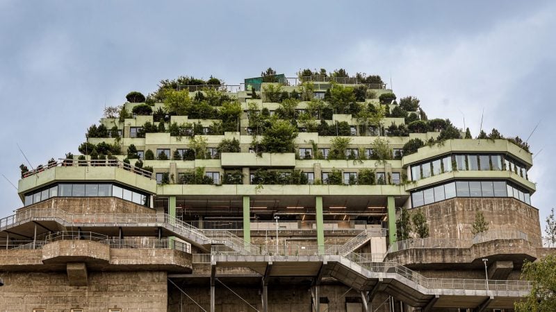 Der grüne Bunker auf St. Pauli ist für alle offen