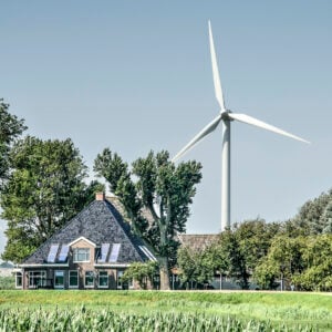 Hühner vom Winde verweht? Bruterfolg sinkt mit Windpark auf null