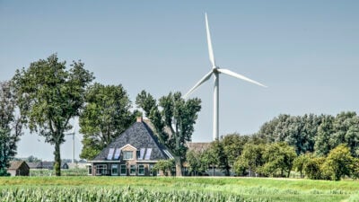 Hühner vom Winde verweht? Bruterfolg sinkt mit Windpark auf null