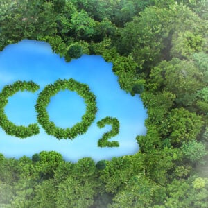 Fritz Vahrenholt: Die neueste CO₂-Bilanz