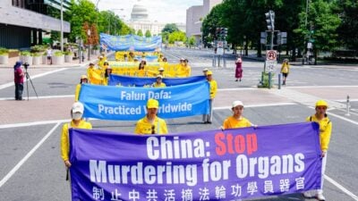 Abgeordnete aus 15 Ländern fordern Ende der Verfolgung von Falun Gong